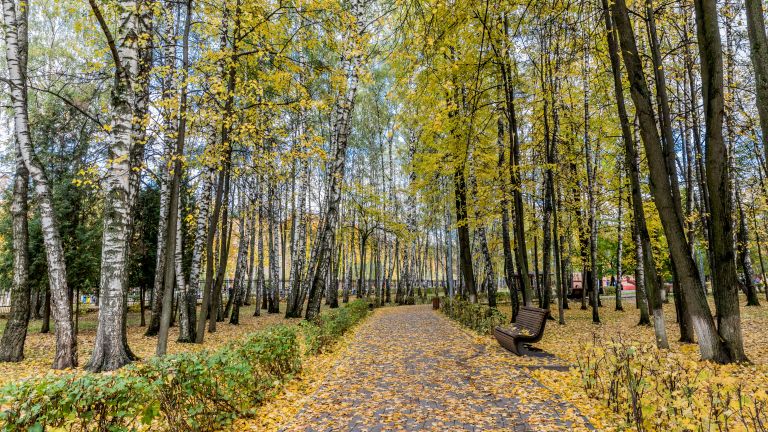 Коллайдер, космос и лучшие яблоки: зачем ехать в российские наукограды