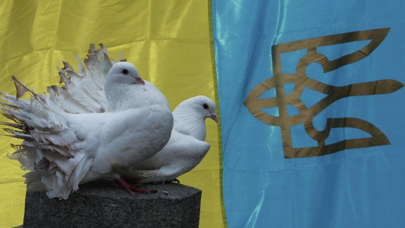 Выборы на Украине ничего не изменят, заявил Сальдо