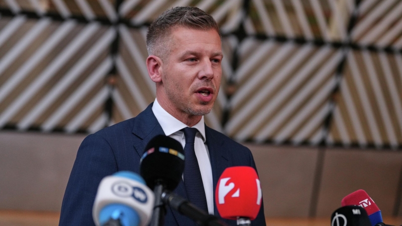 Мадьяр назвал невозможным определить дату вступления Украины в ЕС